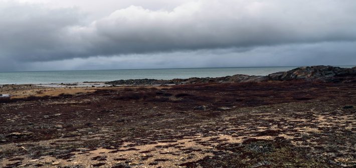Landschaft
